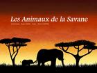 Couverture du livre « Les animaux de la savane » de Michel Kieffer et Ikuko Ikeda aux éditions Mk67