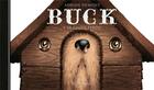 Couverture du livre « Buck ; le chien perdu » de Adrien Demont aux éditions Soleil