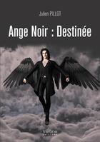 Couverture du livre « Ange noir ; destinée » de Julien Pillot aux éditions Verone