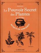 Couverture du livre « Le pouvoir secret des plantes et autres secrets de sorcières » de Michel Viard aux éditions Larousse
