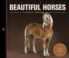 Couverture du livre « Beautiful horses » de Liz Wright aux éditions Ivy Press