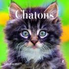 Couverture du livre « Calendrier chatons (édition 2023) » de  aux éditions Place Des Victoires