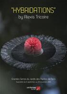 Couverture du livre « Hybridations » de Alexis Tricoire aux éditions Editions Du Net