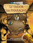 Couverture du livre « Le trésor des pharaons » de Philip Steele aux éditions Millepages