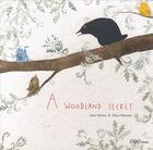 Couverture du livre « A woodland secret » de Elena Odriozola et Javier Sobrino aux éditions Oqo