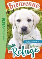 Couverture du livre « Bienvenue au refuge Tome 8 : Un labrador en or » de Pascal Ruter aux éditions Hachette Jeunesse