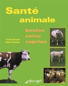Couverture du livre « Santé animale ; bovins, ovins, caprins » de Carole Drogoul et Hubert Germain aux éditions Educagri