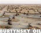 Couverture du livre « Edward burtynsky oil » de Edward Burtynsky aux éditions Steidl