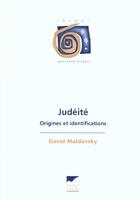 Couverture du livre « Judeite - Origines Et Identifications » de David Maldavsky aux éditions Delachaux & Niestle