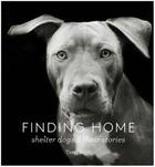 Couverture du livre « Finding home shelter dogs and their stories » de Traer Scott aux éditions Princeton Architectural