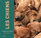 Couverture du livre « Les chiens racontés aux enfants » de Marie Vendittelli aux éditions La Martiniere Jeunesse