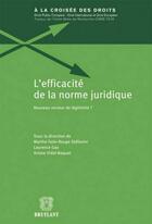 Couverture du livre « L'efficacité de la norme juridique ; nouveau vecteur de légitimité ? » de Marthe Fatin-Rouge et Laurence Stefanini et Ariane Vidal-Naquet aux éditions Bruylant