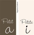 Couverture du livre « Petit a petite i » de Maguelone Guillemin aux éditions Books On Demand