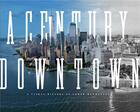 Couverture du livre « A century downtown : a visual history of lower manhattan » de Kapp Matt aux éditions Powerhouse