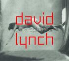 Couverture du livre « David Lynch ; dark splendor » de Werner Spies aux éditions Hatje Cantz