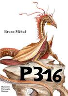 Couverture du livre « P316 évolution » de Bruno Méhul aux éditions Thebookedition.com