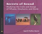 Couverture du livre « Secrets of Sound » de April Pulley Sayre aux éditions Houghton Mifflin Harcourt