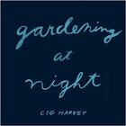 Couverture du livre « Cig harvey gardening at night » de Cig Harvey aux éditions Schilt