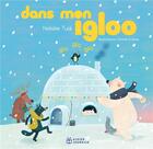 Couverture du livre « Dans mon igloo » de Natalie Tual et Anne Crahay aux éditions Didier Jeunesse