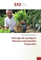 Couverture du livre « Usinage de quelques plantes industrielles tropicales » de Bakwanamaha P M. aux éditions Editions Universitaires Europeennes