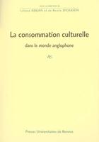 Couverture du livre « Consommation culturelle dans le monde anglo saxon » de Pur aux éditions Pu De Rennes