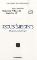 Couverture du livre « Risques émergents ; un pilotage stratégique » de Anne Barr et Catherine-Antoinette Raimbault aux éditions Economica