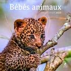 Couverture du livre « Calendrier bébés animaux (édition 2023) » de  aux éditions Place Des Victoires
