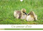 Couverture du livre « Un amour d oie calendrier mural 2018 din a4 horizontal - la vie de mes oies de leurs na » de Ladan C aux éditions Calvendo