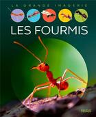 Couverture du livre « Les fourmis » de  aux éditions Fleurus