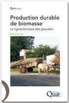 Couverture du livre « Production durable de biomasse ; la lignocellulose des poacées » de Denis Pouzet aux éditions Quae