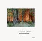 Couverture du livre « Sous les pins, la lumière » de Jean-Paul Kauffmann et Bertrand Bouet-Willaumez aux éditions Contrejour