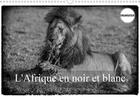 Couverture du livre « L afrique en noir et blanc calendrier mural 2020 din a3 horizontal - vision inhabituelle du masai m » de Gaymard Alain aux éditions Calvendo