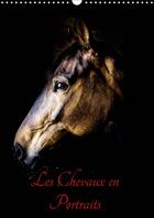 Couverture du livre « Portraits de chevaux en libert » de Xavier Bertrand aux éditions Calvendo