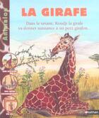 Couverture du livre « Girafe » de Bobe/Stetten aux éditions Nathan