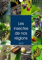 Couverture du livre « Les insectes de nos regions calendrier mural 2019 din a4 vertical - aimez vous les insectes ceci e » de Bronner Thomas aux éditions Calvendo