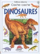Couverture du livre « Dinosaures » de Rosie Heywood aux éditions Usborne