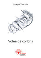 Couverture du livre « Volée de colibris » de Joseph Yancolo aux éditions Editions Edilivre