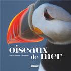 Couverture du livre « Oiseaux de mer » de Biosphoto et Fabrice Genevois aux éditions Glenat