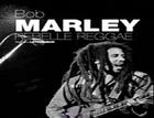 Couverture du livre « Bob Marley, rebelle reggae » de Stephane Letourneur aux éditions Oslo