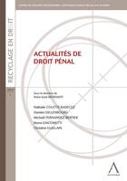 Couverture du livre « Actualités de droit pénal » de  aux éditions Anthemis