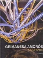 Couverture du livre « Grimanesa amoros ocupante /anglais/allemand » de Reifenscheid Beate aux éditions Hirmer