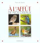 Couverture du livre « A l'affut de nos oiseaux » de De Stexhe P aux éditions Mardaga Pierre