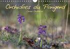 Couverture du livre « Orchidées du Périgord (Calendrier mural 2016 DIN A4 horizontal) ; Belles et fragiles fleurs sauvages (Calendrier mensuel) » de Corine Oosterlee aux éditions Calvendo