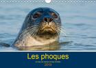 Couverture du livre « Les phoques en baie de somme et baie d authie calendrier mural 2019 din a4 horiz - les phoques stars » de Bouilland Steph aux éditions Calvendo