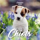 Couverture du livre « Calendrier mural chiots (édition 2019) » de  aux éditions Hugo Image