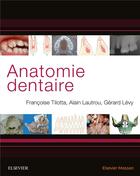 Couverture du livre « Anatomie dentaire » de Francoise Tilotta aux éditions Elsevier-masson