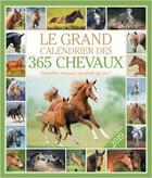 Couverture du livre « Le grand calendrier des 365 chevaux 2019 » de  aux éditions Editions 365