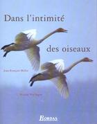 Couverture du livre « Dans L'Intimite Des Oiseaux » de Nicolas Van Ingen et Jean-Francois Helio aux éditions Bordas