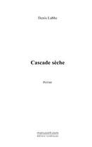 Couverture du livre « Cascade seche » de Denis Labbé aux éditions Editions Le Manuscrit