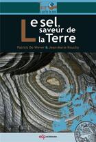 Couverture du livre « Le sel, saveur de la Terre » de Patrick De Wever et Jean-Marie Rouchy aux éditions Edp Sciences